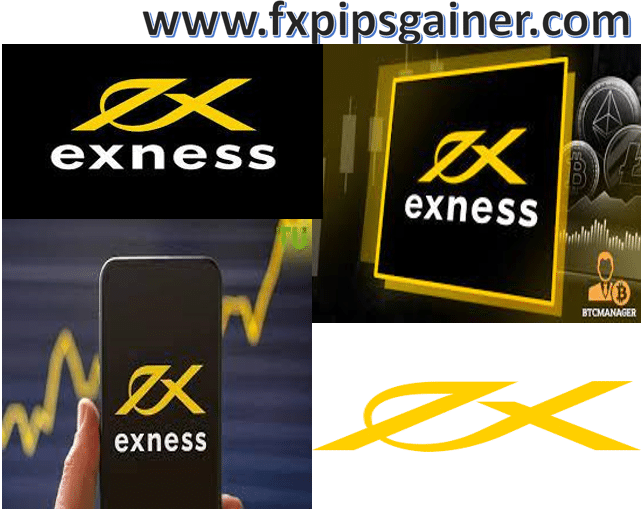 Understanding the Regulated Exness Broker A Comprehensive Overview Understanding the Regulated Exness Broker A Comprehensive Overview